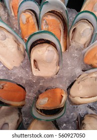 New Zealand mussels in ice