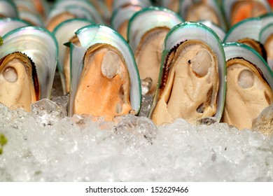 A New Zealand mussels and ice close up