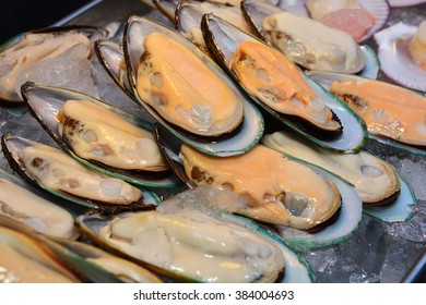 A New Zealand mussels and ice close up