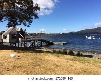 New Zealand Nature Te Anau Lake View With A Bird, Wooden Structure And Seaplane