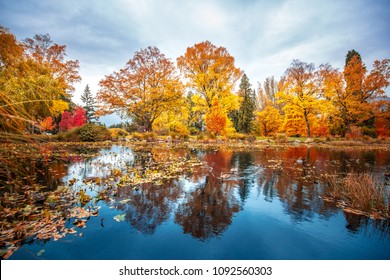 5,582 Queenstown garden Images, Stock Photos & Vectors | Shutterstock