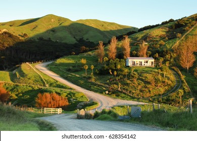 New Zealand Rural Road, House, And Farm Land 