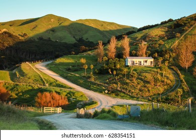 New Zealand Rural Road, House, And Farm Land 