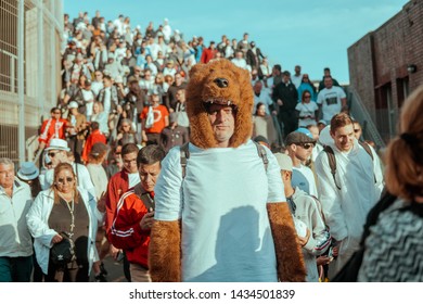 New Zealand, Wellington - November, 2017: A Person Wore Teddy Bear Costume In The Middle Of The Crowd After The Rugby Game.