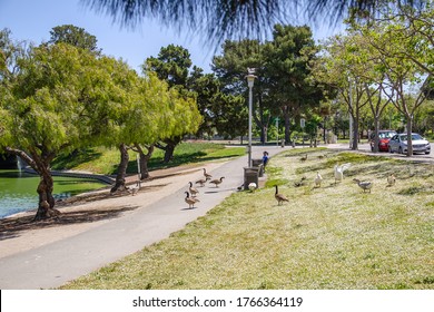 Newark, CA, USA - May 7: People Have A Rest In Newark Park