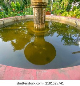 Newbie Photo Refelction Of Old Fountain In The Garden 