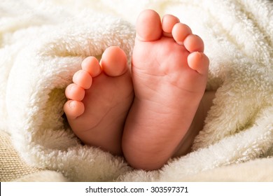 Tiny Toes Baby Foto Album 80 foto Oro e Argento Stelle CG519 
