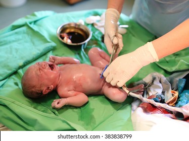 Newborn baby after birth in hospital - Powered by Shutterstock