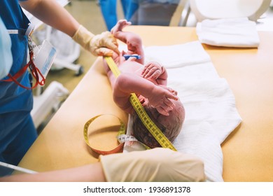 Newborn Baby After Delivery In Labor Room. Doctor And Midwife Examining Newborn Boy After Birth In Hospital.