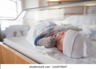 Newborn Baby Asleep In Crib In Hospital Room.