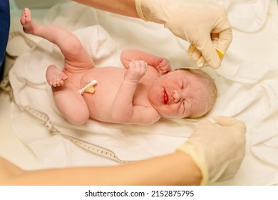Newborn baby being examined by midwife moments after birth with tape measure and gloves checking vital sign and head size in neonatal care crying caucasian daughter.