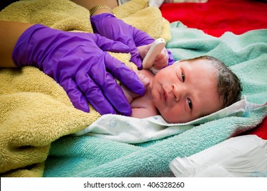 A newborn baby, born at home, gets his vitals taken as he looks at the camera.  The midwife's purple gloves hold a thermometer under the baby's arm.