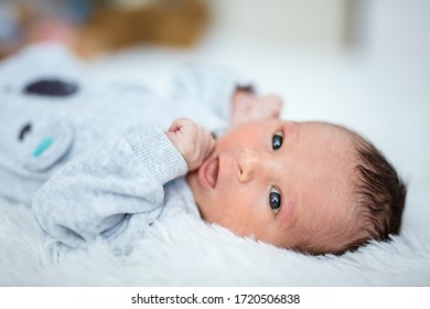 Newborn Baby Boy Lying Down On Bed