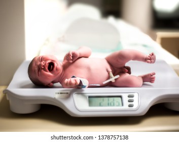 3,148 Newborn weight Images, Stock Photos & Vectors | Shutterstock