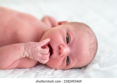 Newborn Baby With Dry Skin After Birth Lying Down Putting His Hand In His Mouth. Baby Skin And Body Care Concept