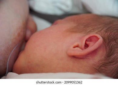 newborn baby eats milk from the mother breast breastfeed through a silicone pad. High quality photo