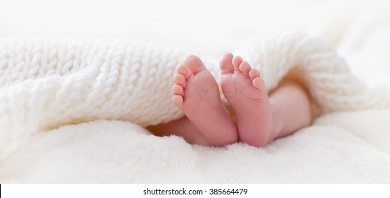 Newborn Baby Feet