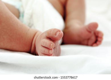 Newborn baby feet. Maternity hospital, perinatal center, motherhood