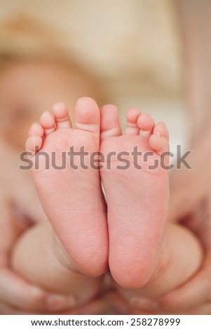 newborn baby feet on female hands. Baby feet in mother hands. A close-up of tiny baby feet. newborn baby feet. Baby feet in mommy's hands