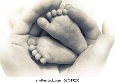 Newborn baby feet in parent hands symbolize care and parent love in black and white color