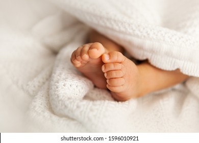 Newborn baby feet under the white blanket, closup of  infant barefeet - Image