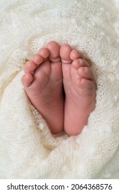 Newborn Baby Feet Under The White Blanket. Vertical Photo.
