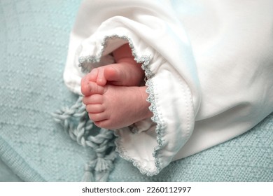 Premium Photo  The small hand of a newborn baby