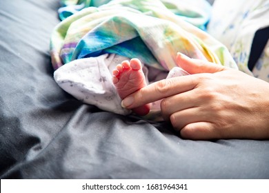 Vernix Images Photos Et Images Vectorielles De Stock Shutterstock