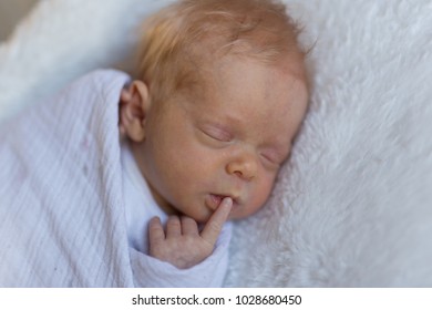 Newborn Baby Girl