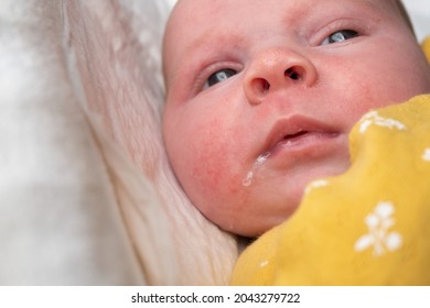 Newborn Baby Girl Drooling Close-up On White Background