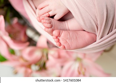 Newborn Baby Girl Feet In Wrap With Flower Background