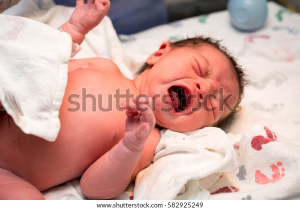 Newborn Baby Girl Moments After Being Stock Photo Edit Now