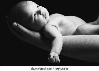 Newborn Baby In  Hand. Black And White Photography