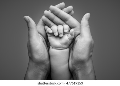 Newborn baby hand holding in mother hands isolated on grey background