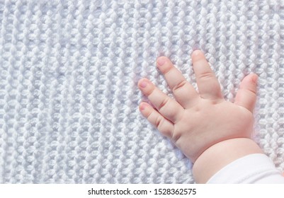 Baby Pearl Stock Photos, Images 