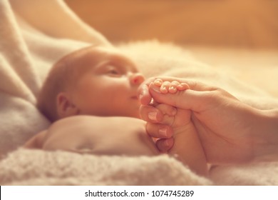 Newborn Baby Holding Mother Hand, New Born Child and Parent, Selective Focus on Family Hands, Kid and Woman - Shutterstock ID 1074745289