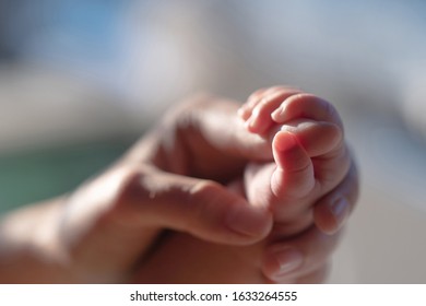 Newborn baby is holding the mother's hand - Shutterstock ID 1633264555