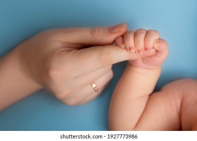 newborn baby holds mom's finger. hand of a newborn baby - Shutterstock ID 1927773986