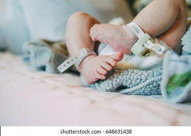 Newborn Baby In The Hospital