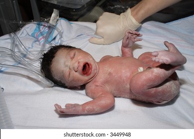 African American Newborn Hospital Images Stock Photos Vectors Shutterstock