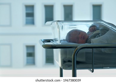 Newborn Baby In Its Hospital Crib