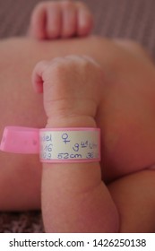 Newborn Baby With Identification Tag On Wrist. 