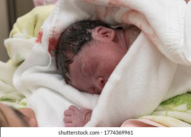 Newborn baby immediately after giving birth with mother
