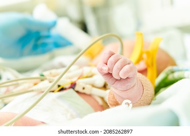 Newborn Baby In Incubator At Neonatal Resuscitation Center