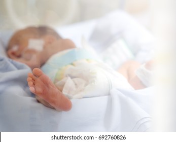 Newborn Baby, Infant Sick In An Incubator At Intensive Care Unit And Nursery Room In A Hospital After Preterm Birth, Selective Focus Of Baby's Feet