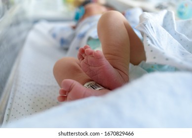 Newborn baby legs in diapers