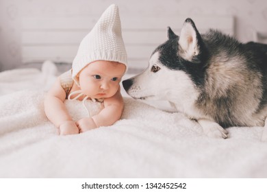 Newborn Baby Lifestyle Soft Focus Portrait Lying On Back Together With Husky Puppy On Bed At Home. Little Child And Lovely Husky Dog Friendship. Adorable Infant Funny Child In Cap Resting With Pet