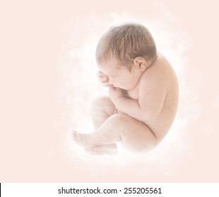 Newborn Baby, New Born Kid in Ninth Month Embryo, Human Fetus, Unborn Fetal Concept