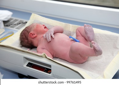 Newborn Baby On The Balance