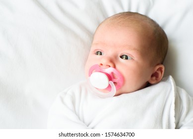 Newborn Baby Portrait, Beautiful New Born Kid sucking Pacifier, Child four weeks old. Copy space on left.